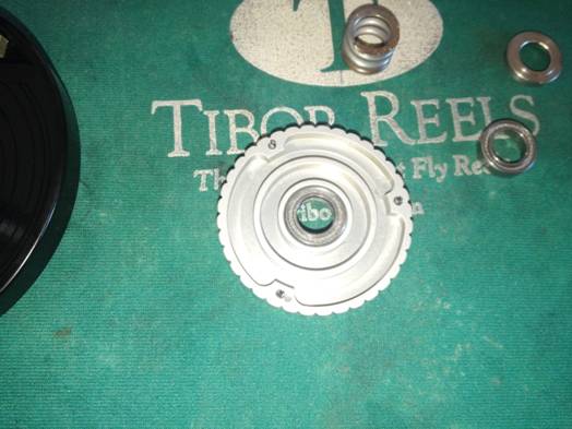 http://www.bocabearings.com/Files/Images/Tibor-Reel-Bearing-Location-And-Removal/image022.jpg