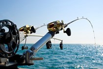 Fishing Reel Bearing Tips & Advice